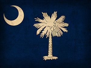 Wall Art - Mixed Media - South Carolina State Flag Art On Worn Canvas by Design Turnpike