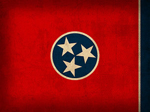 Wall Art - Mixed Media - Tennessee State Flag Art On Worn Canvas by Design Turnpike