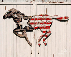 Wall Art - Photograph - The Barn Horse by Jillian Audrey Photography