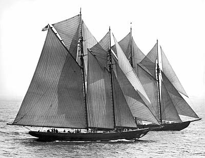 Wall Art - Photograph - Thebaud Passes Bluenose by Underwood Archives