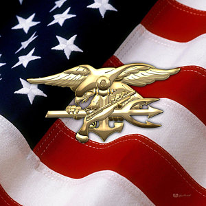 Wall Art - Digital Art - U. S. Navy S E A Ls Emblem Over American Flag by Serge Averbukh