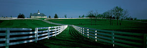 Wall Art - Photograph - Usa, Kentucky, Lexington, Horse Farm by Panoramic Images
