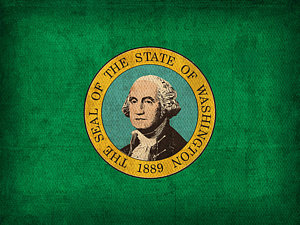 Wall Art - Mixed Media - Washington State Flag Art On Worn Canvas by Design Turnpike