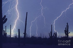Wall Art - Photograph - Cloud To Ground Lightning by John A Ey III and Photo Researchers