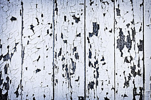 Wall Art - Photograph - Old Painted Wood Abstract by Elena Elisseeva