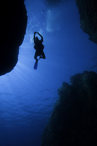 Wall Art - Photograph - Blue Water Diver by Rico Besserdich