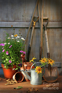 Wall Art - Photograph - Garden Shed With Tools And Pots  by Sandra Cunningham