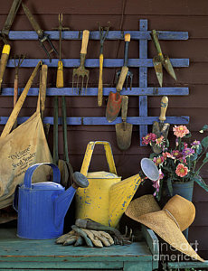 Wall Art - Photograph - Gardening Tools - Fm000055 by Daniel Dempster
