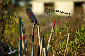 Wall Art - Photograph - Gardening Tools by John Greim