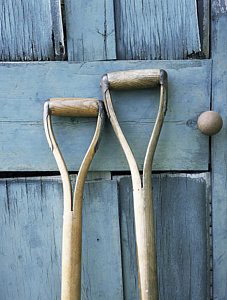 Wall Art - Photograph - Gardening Tools by Maxine Adcock
