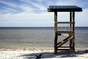 Wall Art - Photograph - Lifeguard Stand At The Beach by Skip Nall