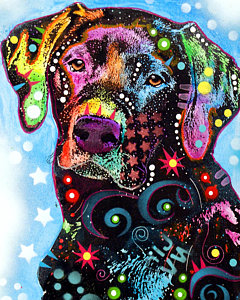 Wall Art - Painting - Black Lab by Dean Russo