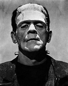 Wall Art - Photograph - Bride Of Frankenstein, Boris Karloff by Everett