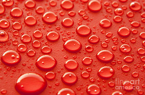 Wall Art - Photograph - Red Water Drops by Blink Images