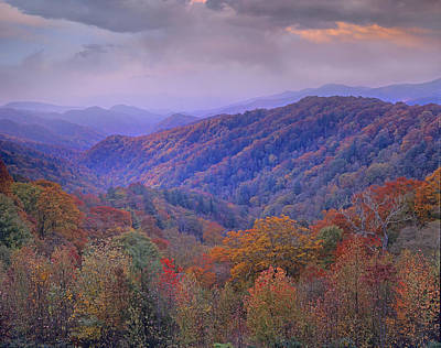 Wall Art - Photograph - Autumn Deciduous Forest Great Smoky by Tim Fitzharris