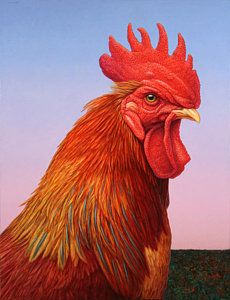 Wall Art - Painting - Big Red Rooster by James W Johnson