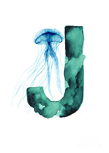 Wall Art - Painting - Blue Jellyfish Watercolor Alphabet Poster by Joanna Szmerdt