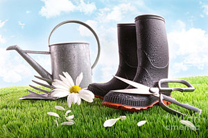 Wall Art - Photograph - Boots With Watering Can And Daisy In Grass  by Sandra Cunningham