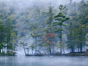 Wall Art - Photograph - Emerald Lake In Fog Emerald Lake State by Tim Fitzharris