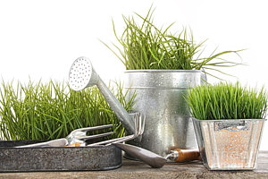 Wall Art - Photograph - Garden Tools And Watering Can With Grass by Sandra Cunningham