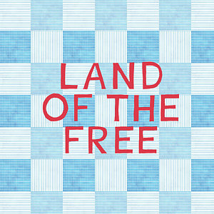 Wall Art - Painting - Land Of The Free by Linda Woods