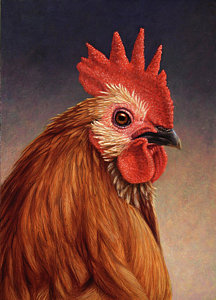 Wall Art - Painting - Portrait Of A Rooster by James W Johnson