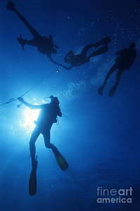 Wall Art - Photograph - Scuba Divers Silhouettes  by Sami Sarkis