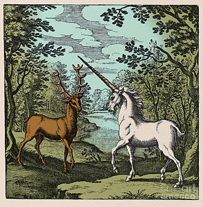 Wall Art - Photograph - Stag And Unicorn 18th Century by Science Source