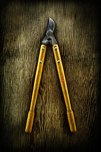 Wall Art - Photograph - Tools On Wood 34 by YoPedro