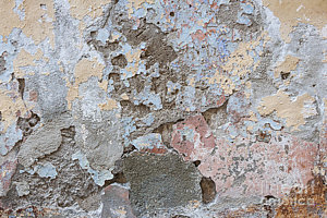 Wall Art - Photograph - Vintage Abstract II by Elena Elisseeva