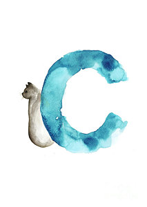 Wall Art - Painting - Watercolor Alphabet C Letter Abstract Cat Minimalist Painting by Joanna Szmerdt