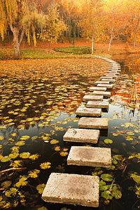 Wall Art - Photograph - Way In The Lake by Evgeni Dinev