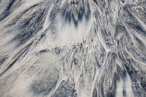 Wall Art - Photograph - Wet Sand Abstract IIi by Elena Elisseeva